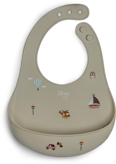 Citron Bryndáček Vehicles