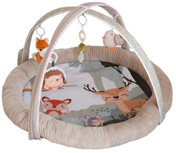 Bo Jungle Borneo Music & Light