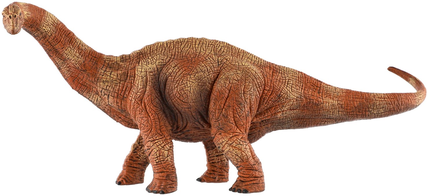 Zooted Apatosaurus dinosaurus