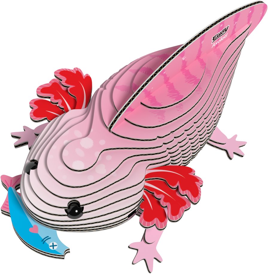 EUGY Axolotl 3D kartonová skládačka