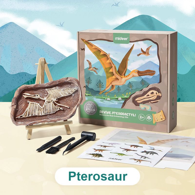 Mideer Vykopávání dinosaurů - Pterosaurus