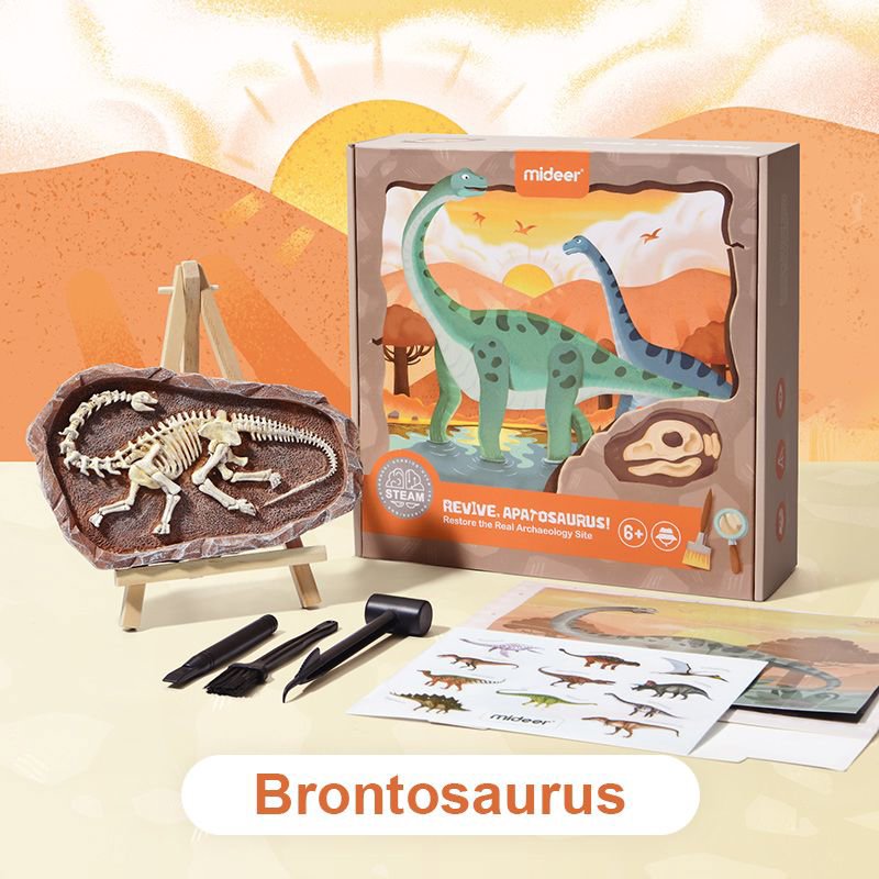 Mideer Vykopávání dinosaurů - Brontosaurus