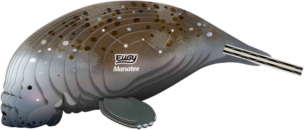 EUGY Kapustňák 3D kartonová skládačka