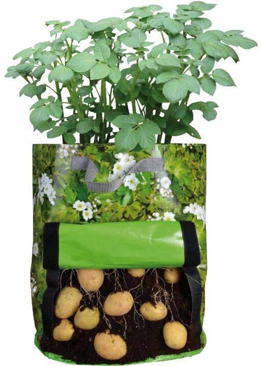 ESSCHERT DESIGN Pěstírna brambor