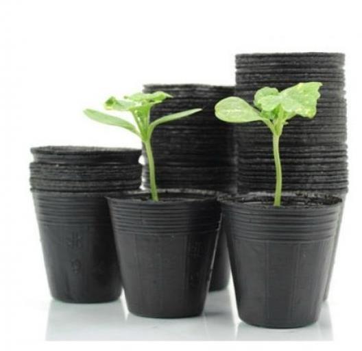 Garden Line Květináč sadbový 7,5 × 6,7 cm, 100 ks