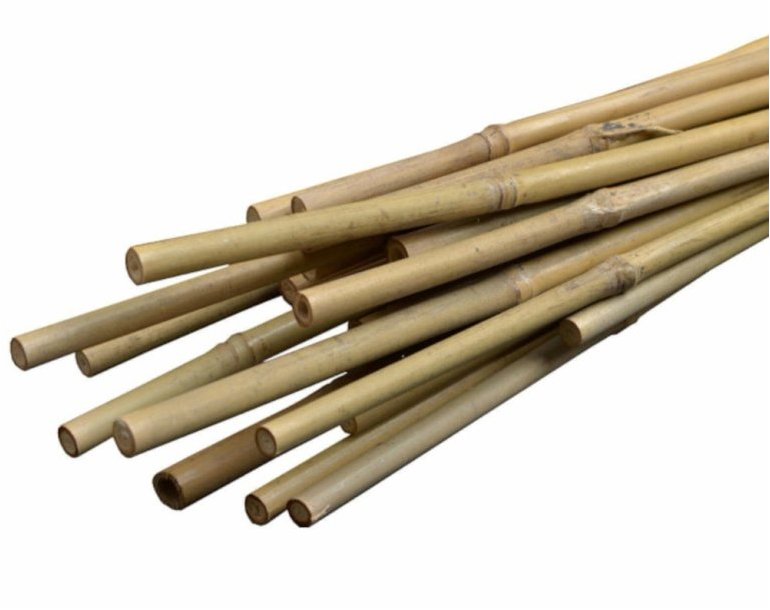Igotrend Tyč k rostlinám BAMBUS 150 cm, síla 1,2 - 1,4 cm, set 10 ks