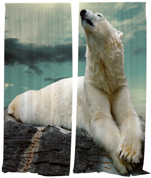 IMPAR Závěsy Lední medvěd,140 × 250 cm