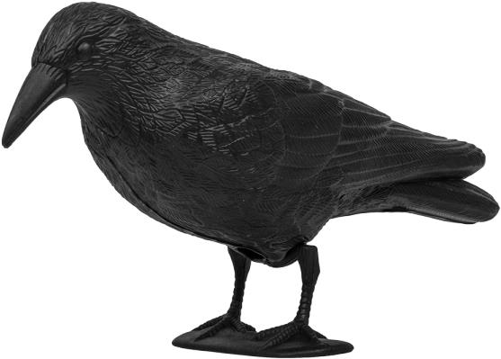 J.A.D. TOOLS Plašič ptactva - havran