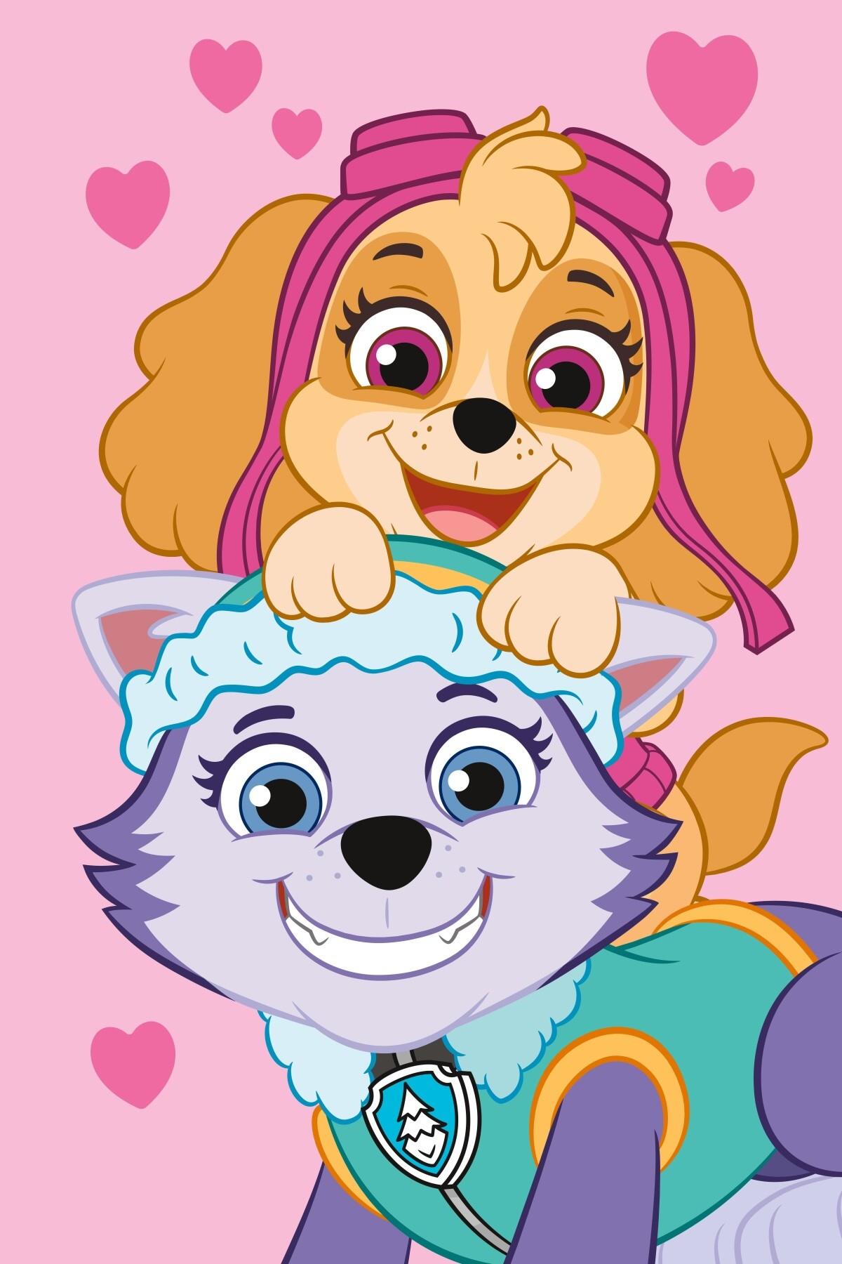 Jerry Fabrics Dětská fleecová deka Paw Patrol PP518 100 × 150 cm