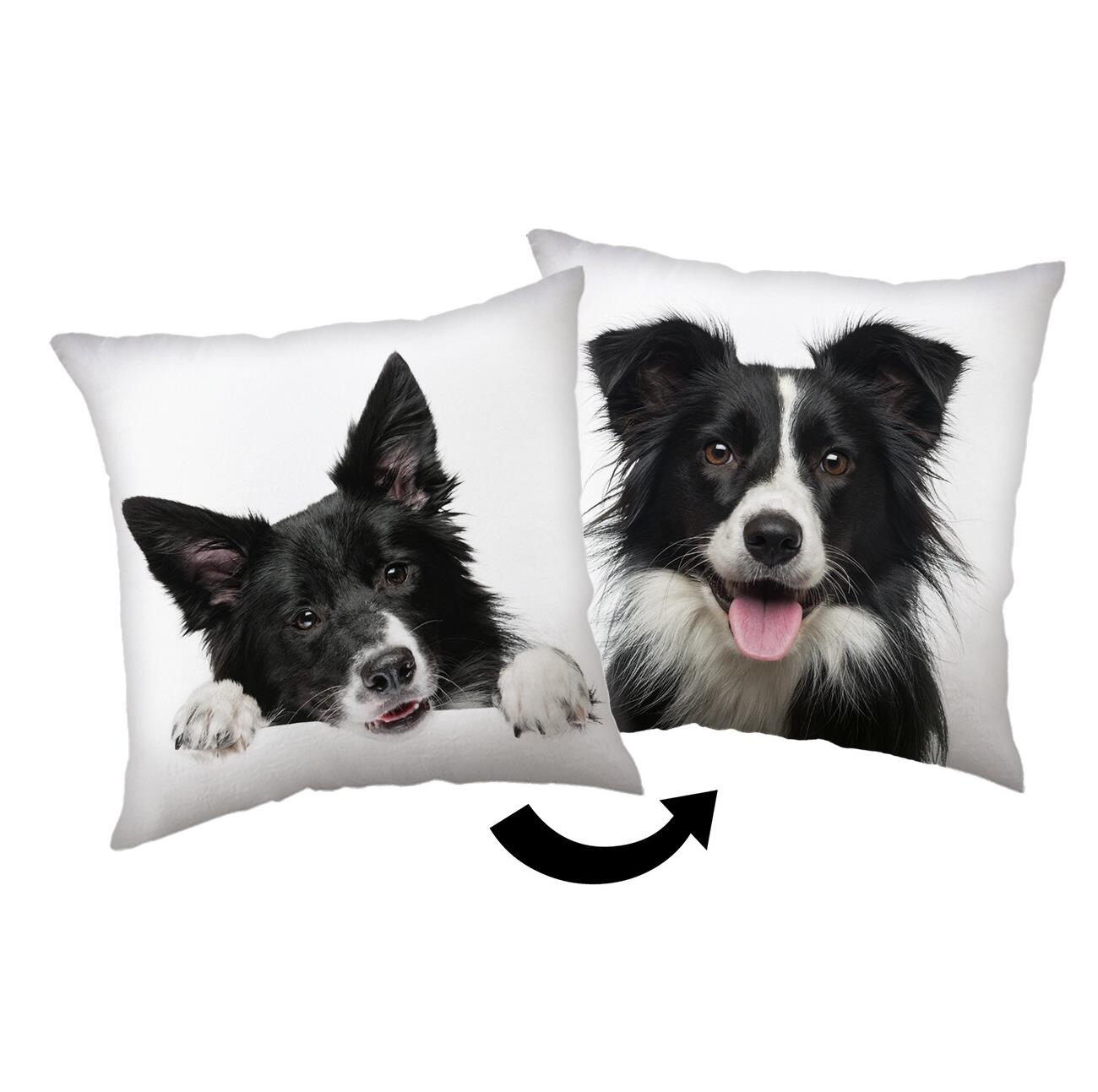 Jerry Fabrics Polštářek Border Kolie 40 × 40 cm