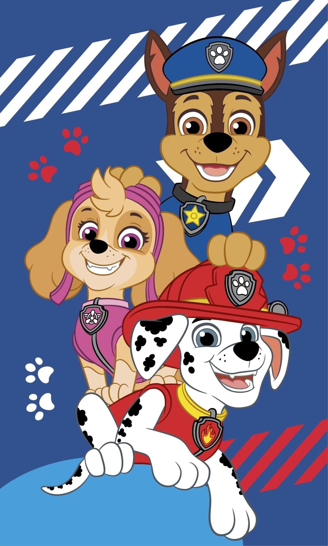 Jerry Fabrics Dětský ručník Paw Patrol Blue 30 × 50 cm