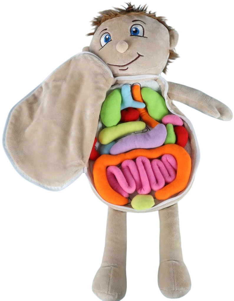 Anatomický model chlapečka