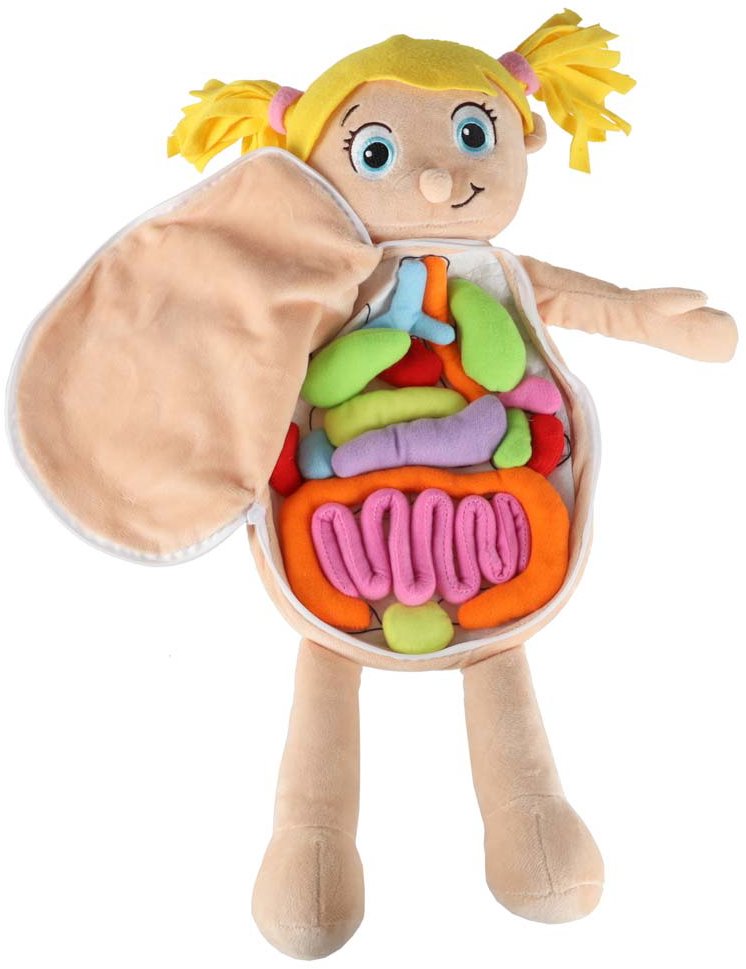 KIK KX2954 Vzdělávací panenka – anatomický model, děvče