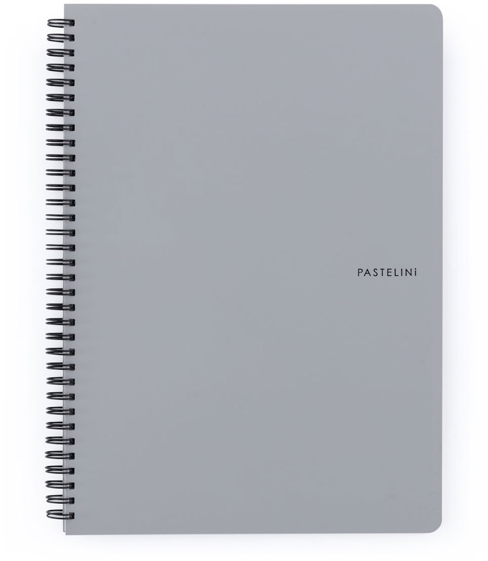 KARTON P+P Pastelini Twin wire A4 PP šedý