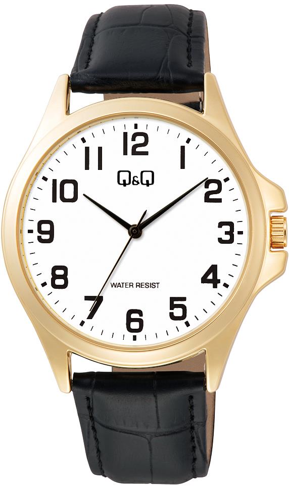 Q&Q Mens C36A-009PY