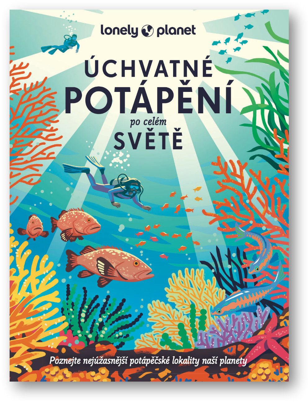 Úchvatné potápění po celém světě