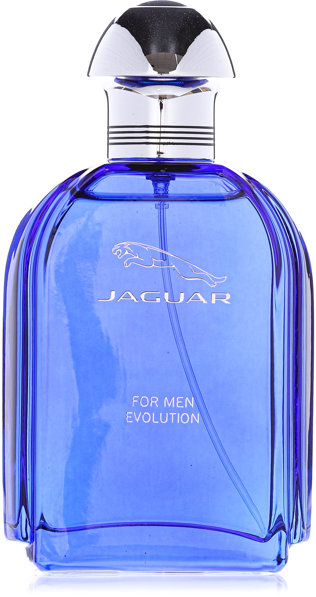 JAGUAR For Men Evolution EdT 100 ml