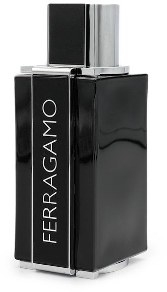 SALVATORE FERRAGAMO Sublime Leather EdP 100 ml