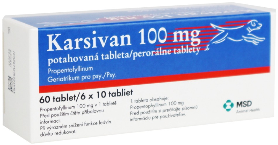 Karsivan 100 mg 60 tbl