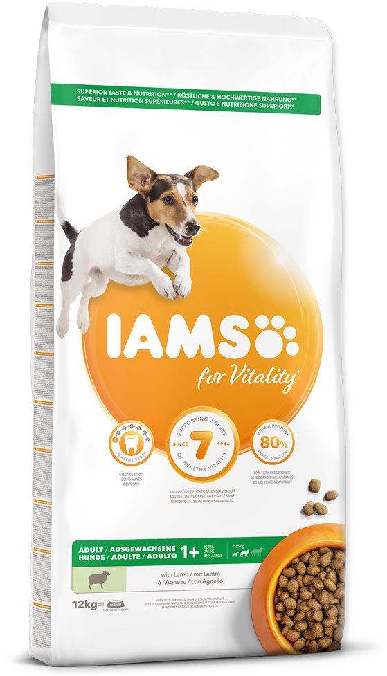 IAMS Dog Adult Small & Medium Lamb 12 kg