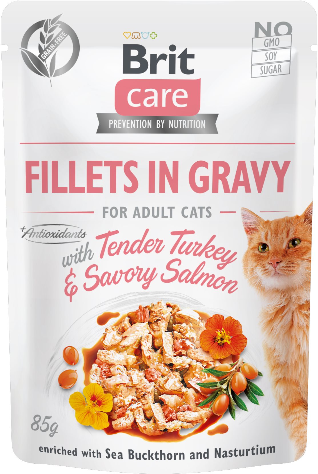 Brit Care Cat Fillets in Gravy with Tender Turkey & Savory Salmon 85 g