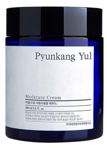 PYUNKANG YUL Moisture Cream 100 ml