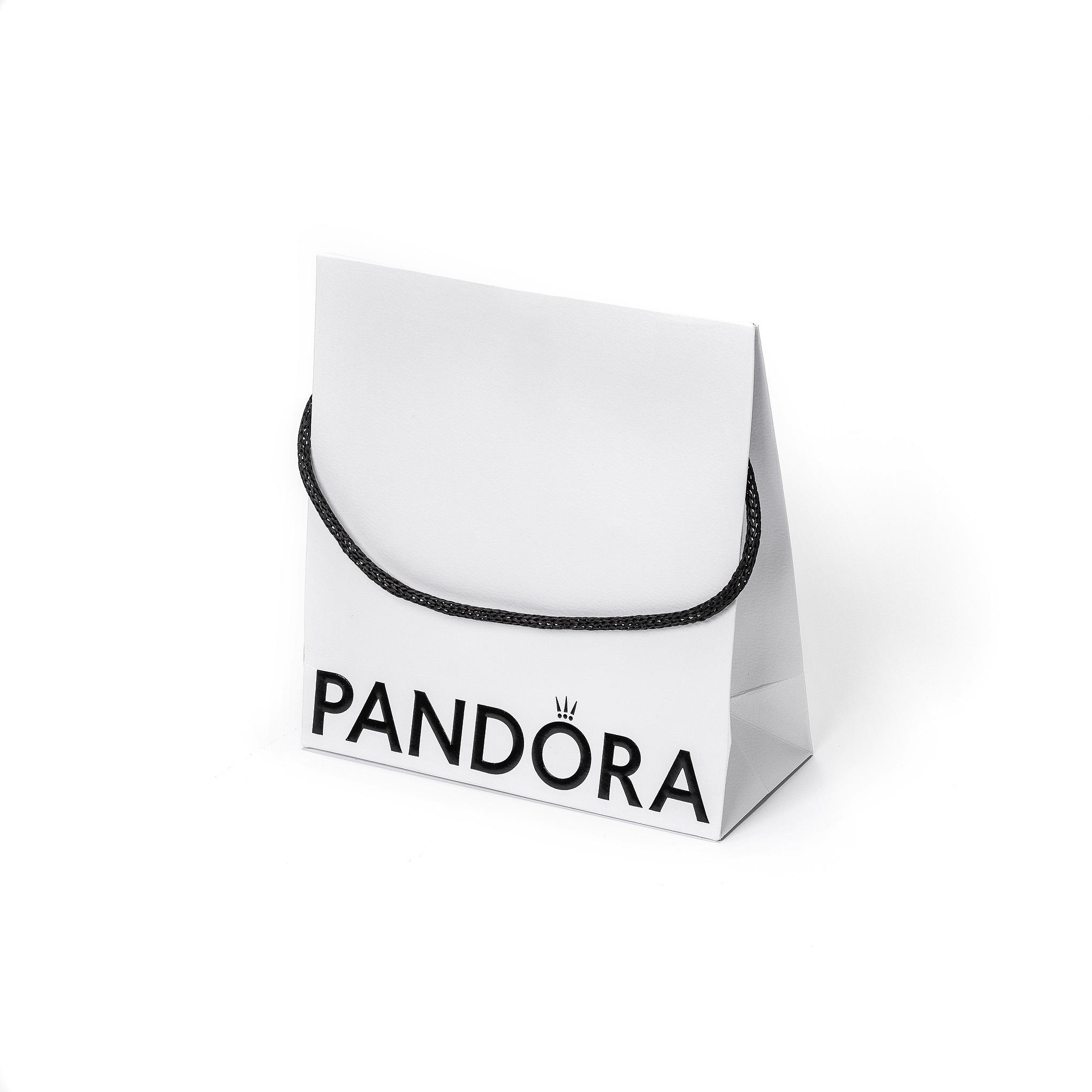 PANDORA Dárková taška velká 21,5×16×16 cm