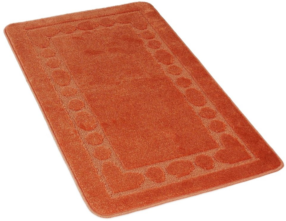 Kvalitex Koupelnová předložka 60 × 100 cm rám terra