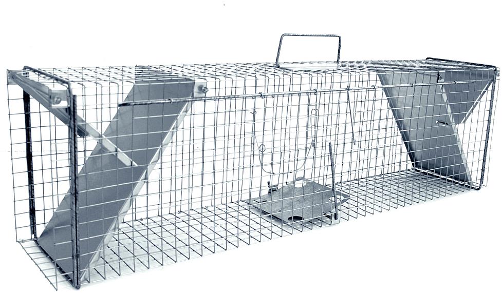 LAPKA Past na kuny, kočky, potkany, krysy, lasičky a tchoře TRAP ZL 102 × 20 × 27 cm