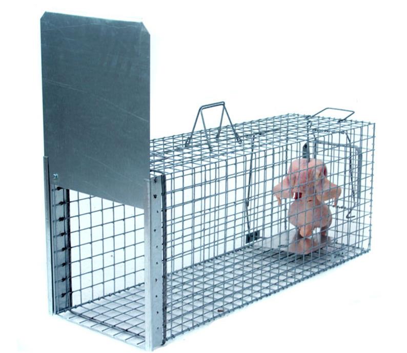 LAPKA Profesionální past na lišky, kuny a kočky TRAP ST 105 × 34 × 42 cm