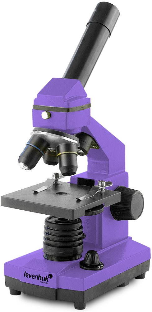 Levenhuk Rainbow 2L Amethyst - fialový
