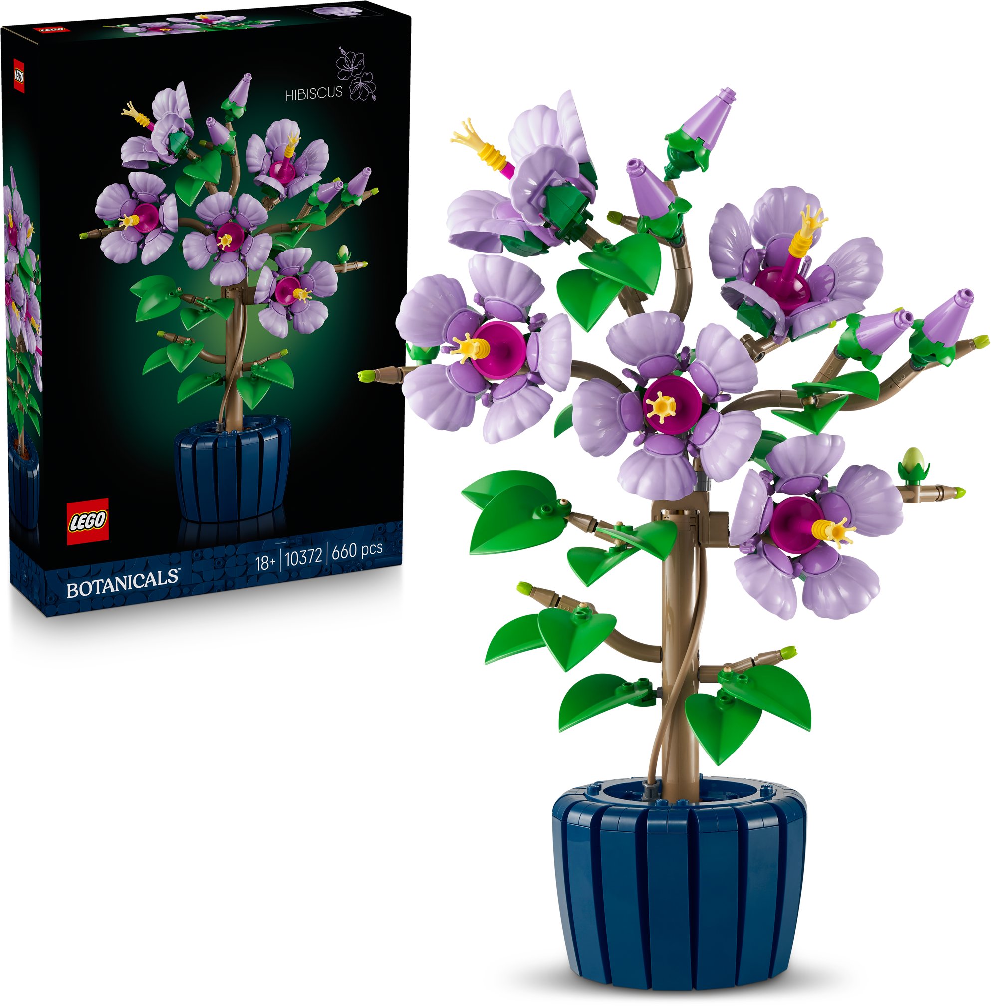 LEGO® Botanicals 10372 Ibišek - krásná stavebnice s květinovým designem