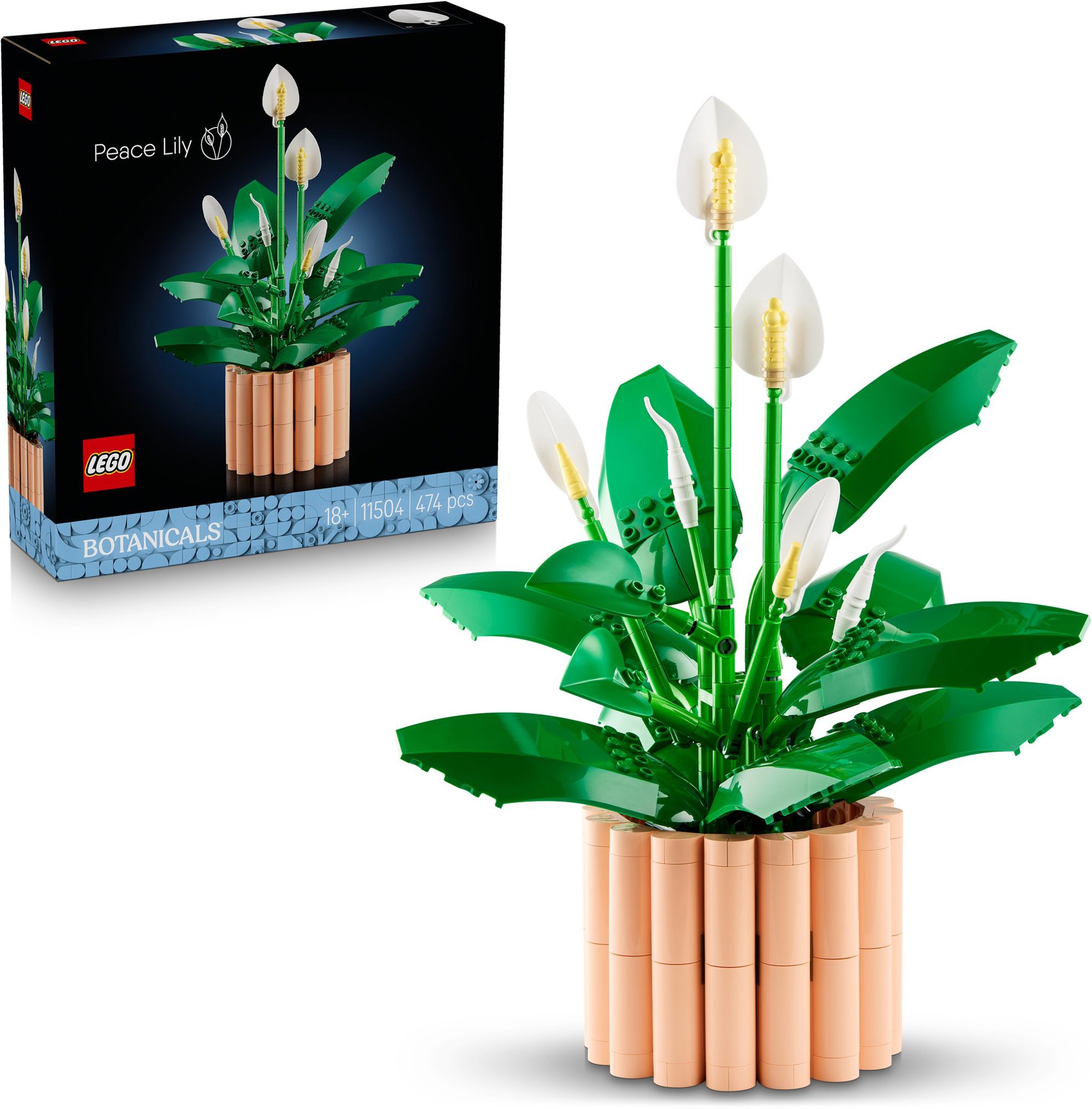 LEGO® Botanicals 11504 Lopatkovec - realistická stavebnice rostliny