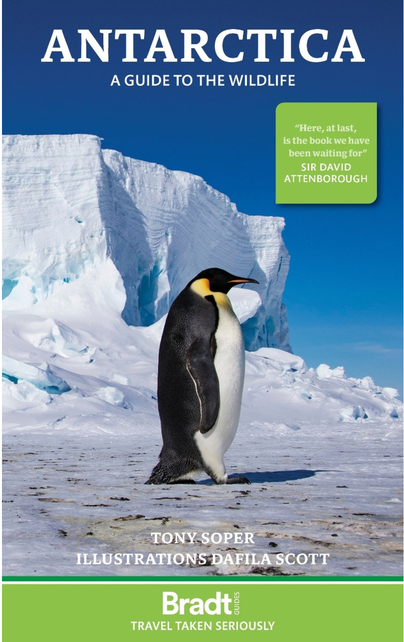 Antarctica a guide to the wildlife, Bradt Travel Guides průvodce, 8.edice anglicky