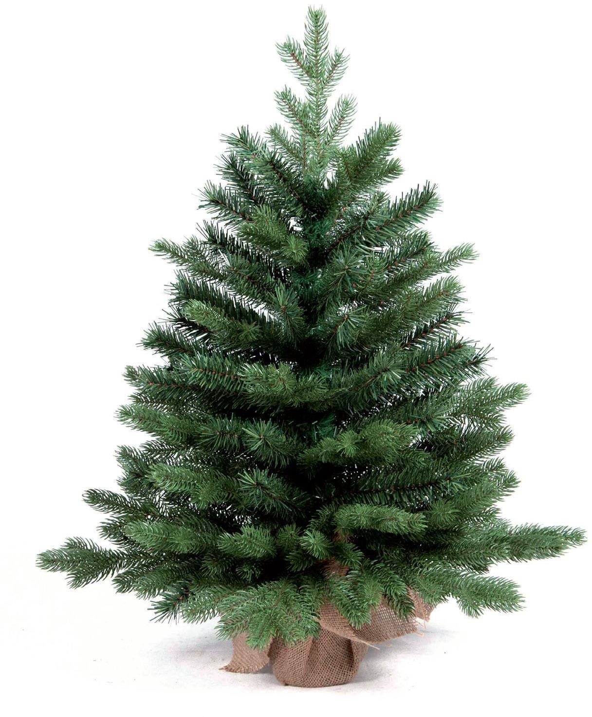 LAALU Vánoční stromek jedle Bernard v květináči 60 cm