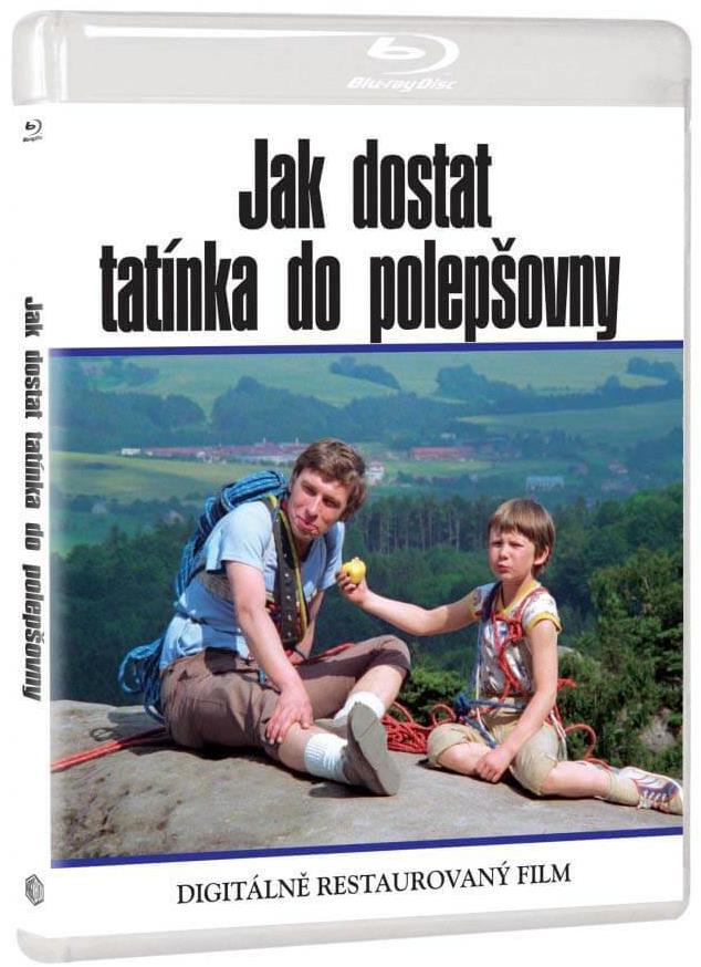 Jak dostat tatínka do polepšovny