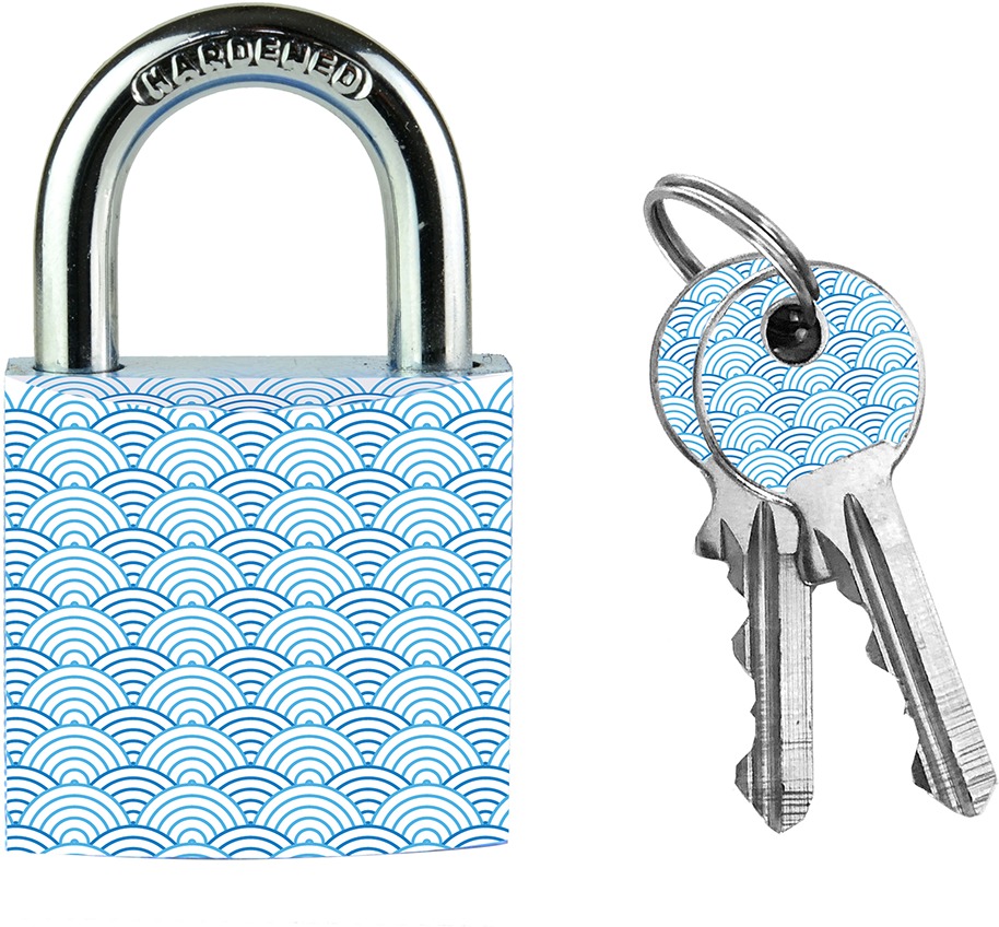 Master Lock Visací zámek z pevného hliníku 3430EURDWAVE 30 mm