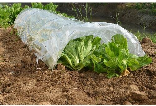 J.A.D. TOOLS Fóliovník tunel 30 x 45 x 300 cm