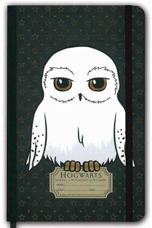 Harry Potter: Hedwig - zápisník