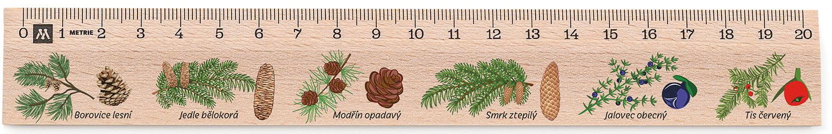 METRIE Didakt M02 dřevěné, jehličnany, 20 cm