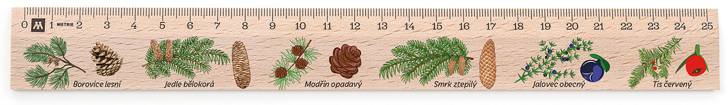 METRIE Didakt M07 dřevěné, jehličnany, 25 cm