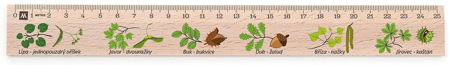 METRIE Didakt M07 dřevěné, listnaté stromy, 25 cm