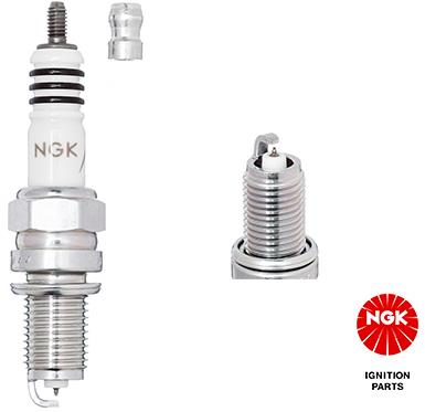 NGK DCPR6EIX 8196