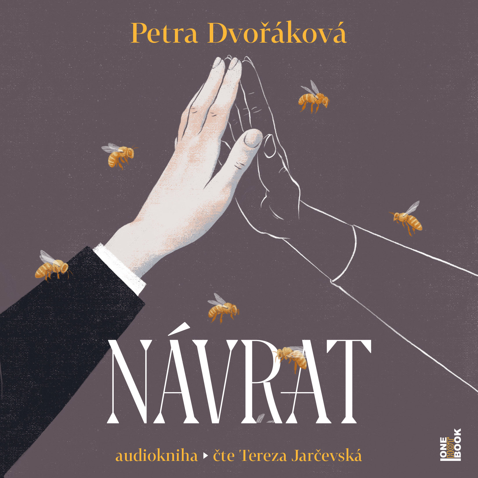 Dvořáková Petra: Návrat