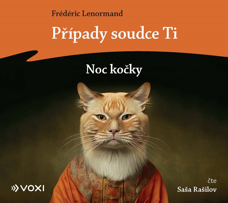 Lenormand Frédéric: Případy soudce Ti: Noc kočky