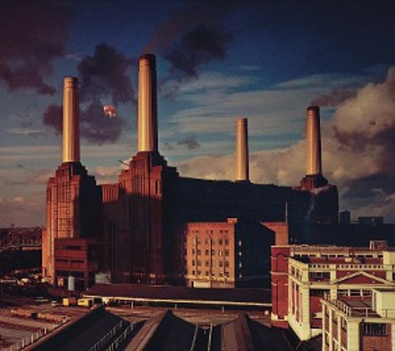 Pink Floyd: Animals