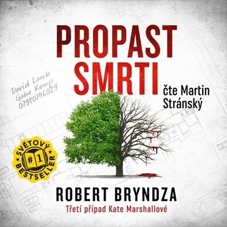 Bryndza Robert: Propast smrti