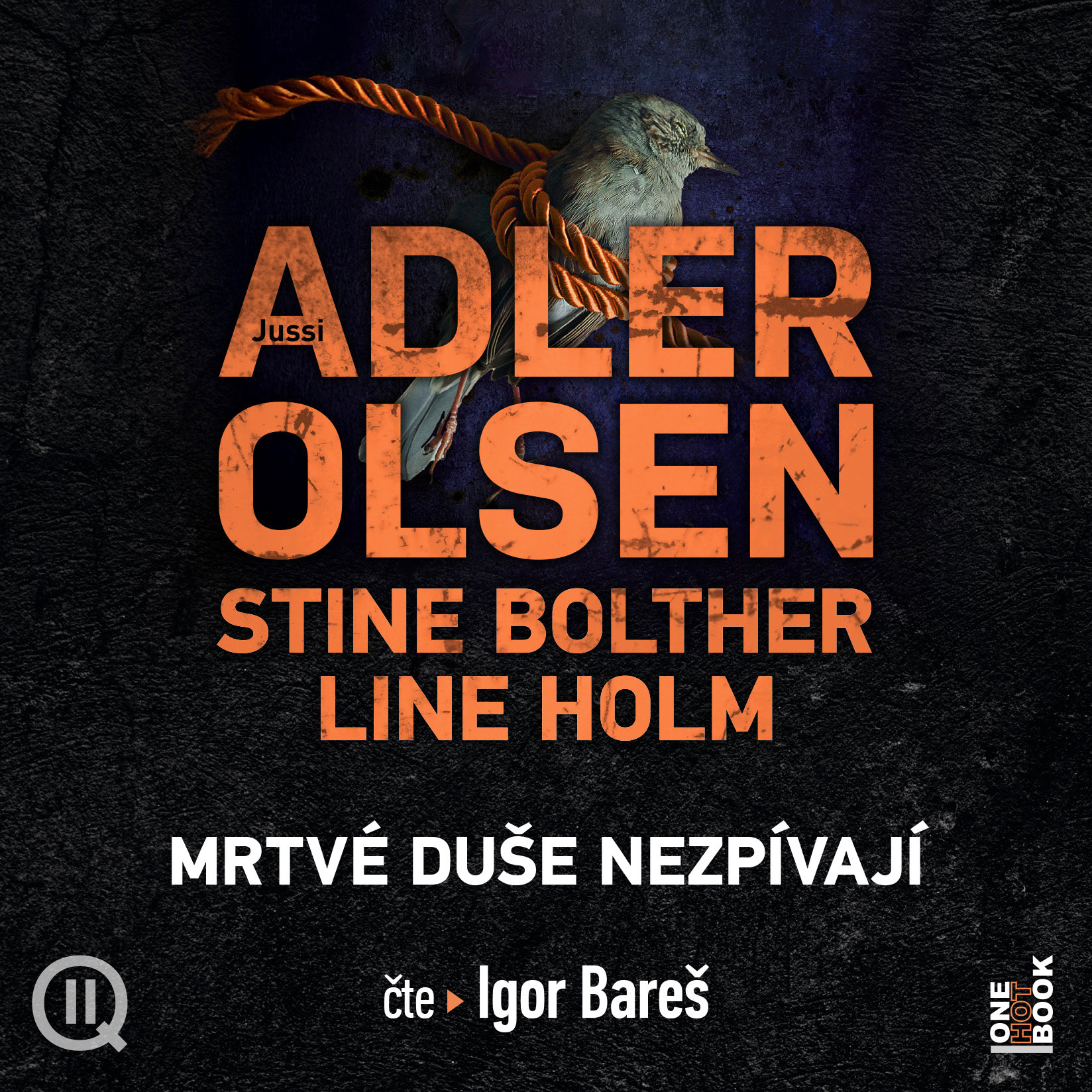 Adler-Olsen Jussi: Případy oddělení Q: Mrtvé duše nezpívají