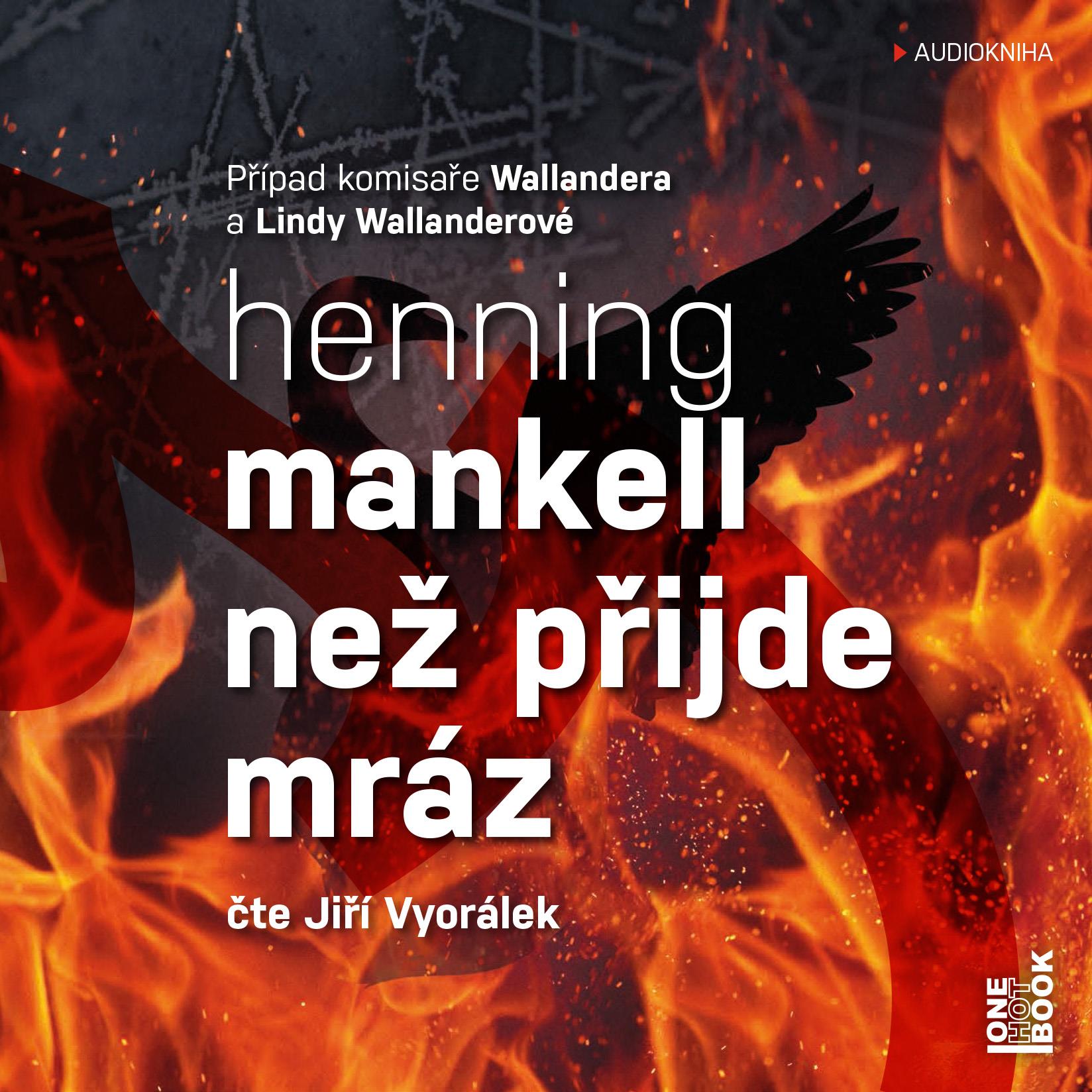 Mankell Henning: Než přijde mráz
