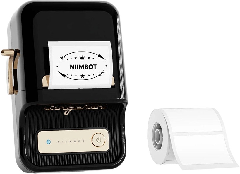 Niimbot B21 Pro, black